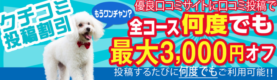 バナー4
