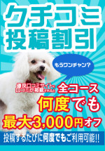 口コミ投稿割引最大3000円オフ！